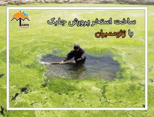ساخت استخر پرورش جلبک با ژئوممبران
