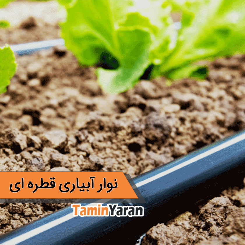 Drip-Irrigation-FA نوار تیپ آبیاری - Image 1